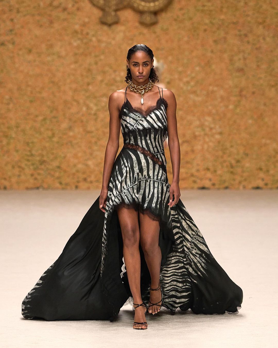 Roberto Cavalli's Stunning Finale to SS 2025 Dubai Fashion Week