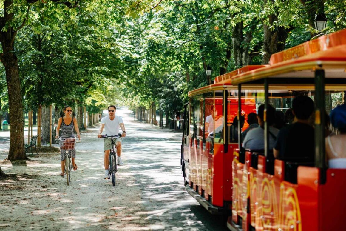 Parc des Bastions Restaurant Bois de la Bâtie ParcLaGrange Tourism in Geneva